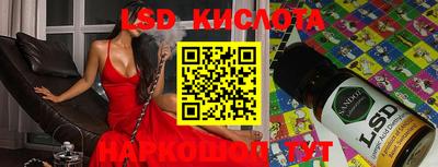 прущие крисы Владивосток