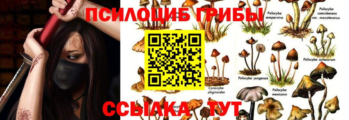 Псилоцибиновые грибы ЛСД Асбест