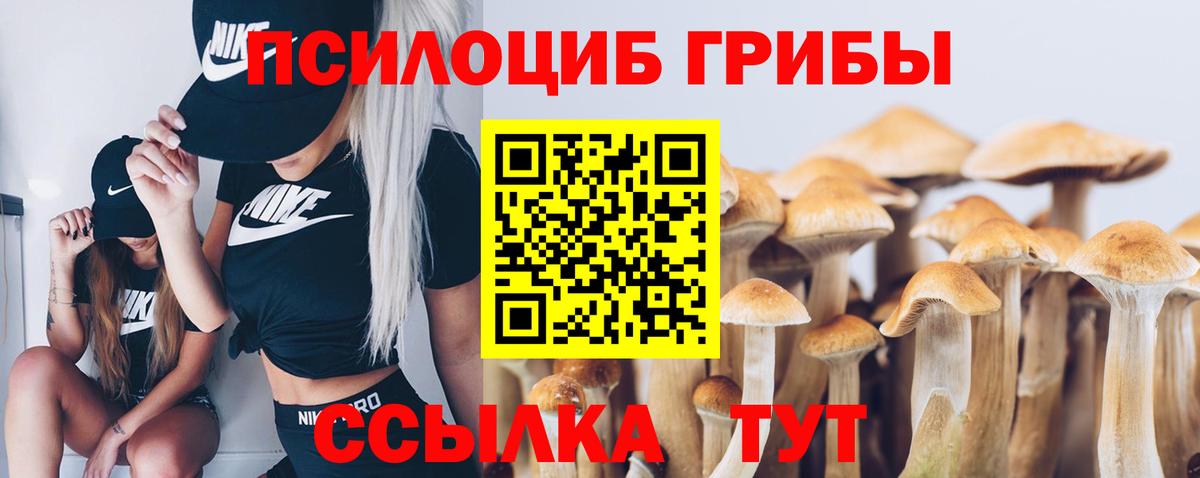 закладки  Вход с VPN  Асбест  Псилоцибиновые грибы мицелий 